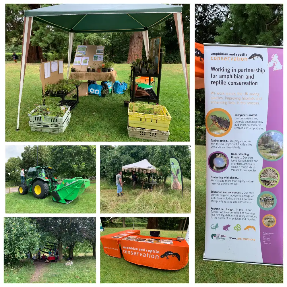 Flintshire Meadowfest 2025